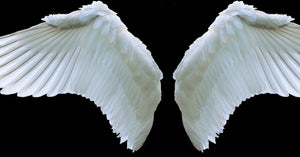 Angel Guidance Longer Email Message Reading